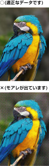 ���A���C���[�W