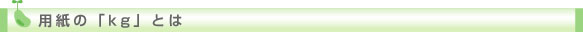 �p����kg�ɂ���