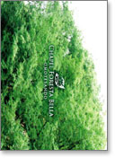 �p���t���b�g�T���v��3