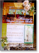 �ŔT���v��31