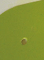 �E�J�����H�C���[�W