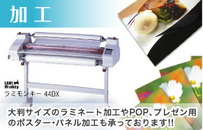 ���H�C���[�W